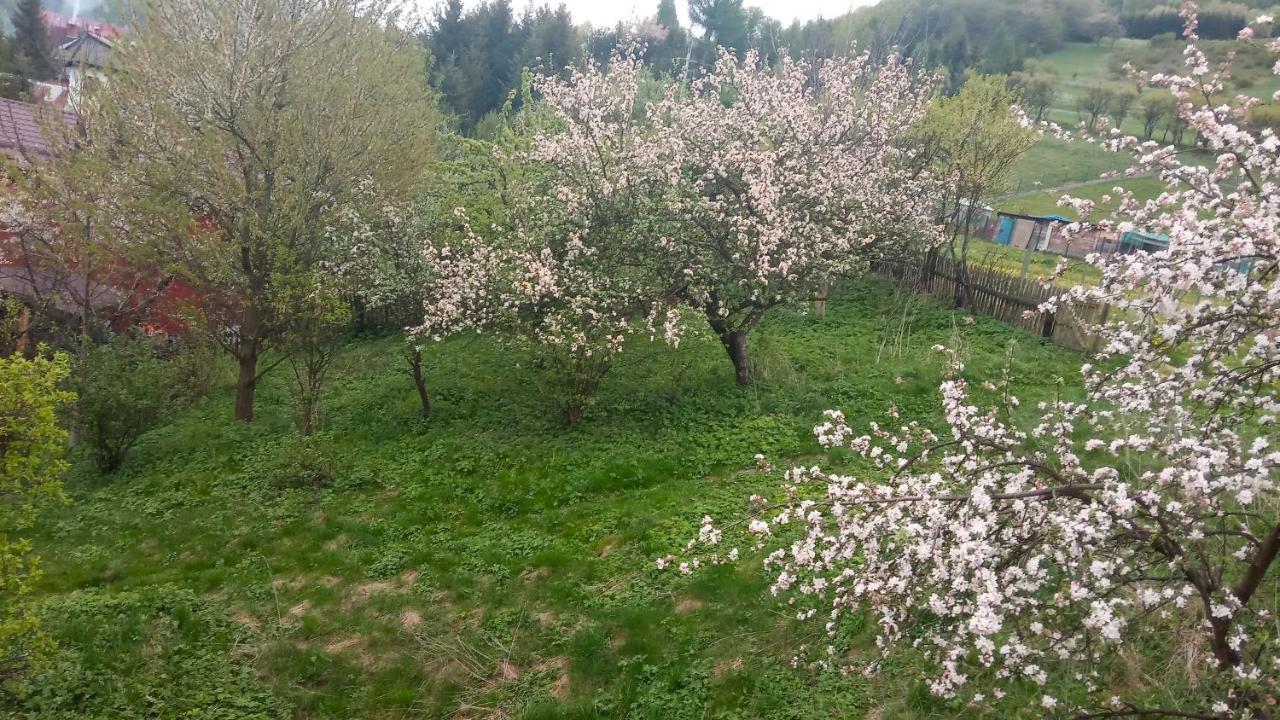 Pokoje U Adama Grajoka Szczawnica Eksteriør billede