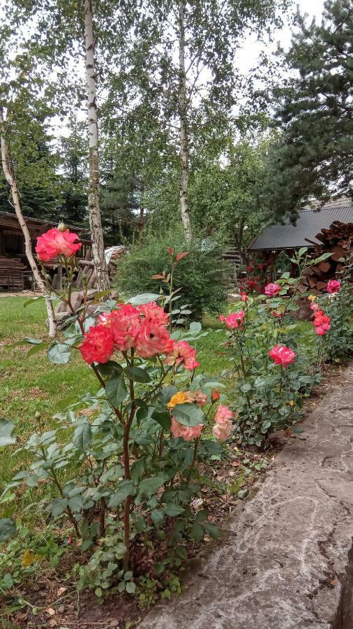 Pokoje U Adama Grajoka Szczawnica Eksteriør billede